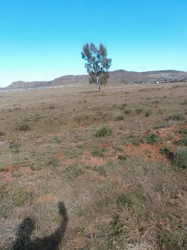 0 Bedroom Property for Sale in Aliwal North Eastern Cape